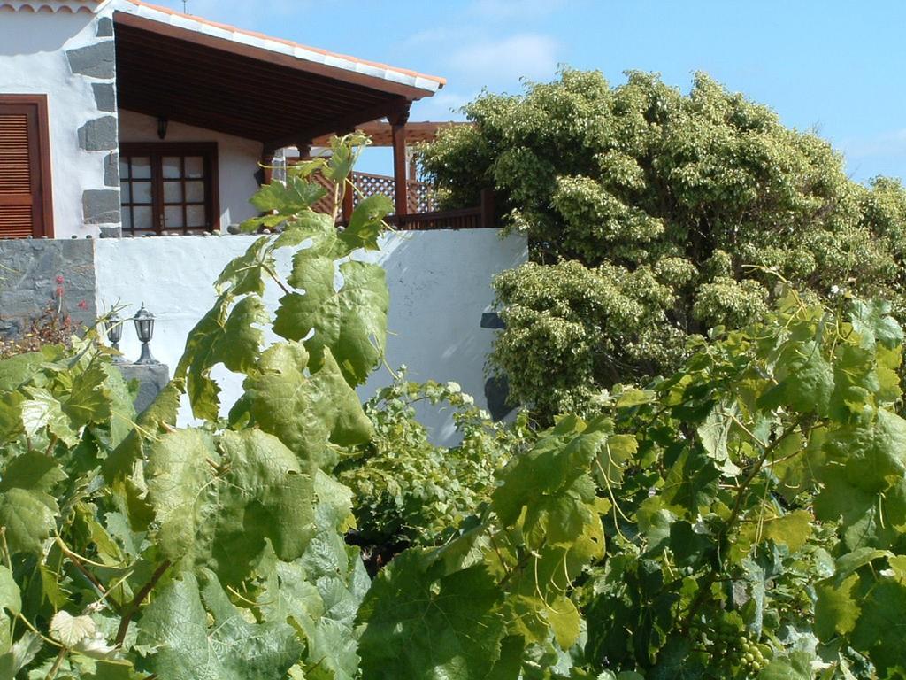 Casa Las Las Vinas 拉帕尔马岛丰卡连特 外观 照片