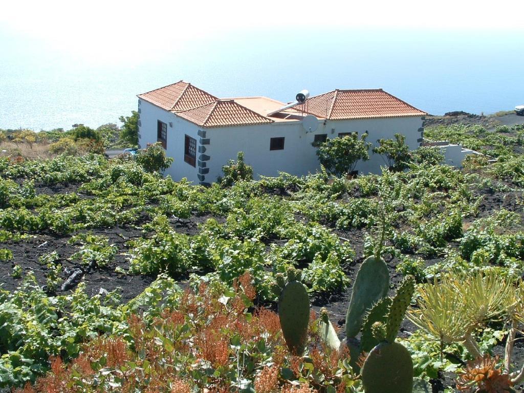 Casa Las Las Vinas 拉帕尔马岛丰卡连特 外观 照片